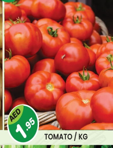 Tomato available at Baniyas Spike  in UAE - Umm al Quwain