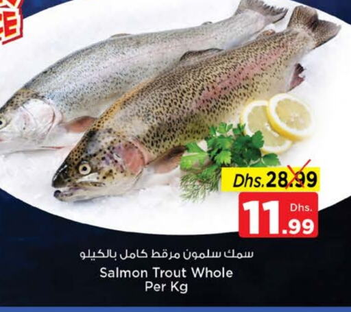 available at نستو هايبرماركت in الإمارات العربية المتحدة , الامارات - أم القيوين‎