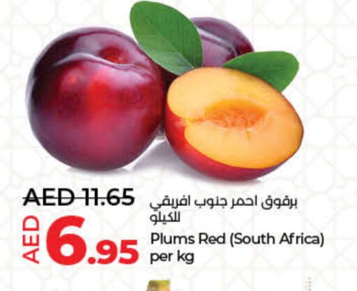 برقوق from South Africa available at لولو هايبرماركت in الإمارات العربية المتحدة , الامارات - الشارقة / عجمان