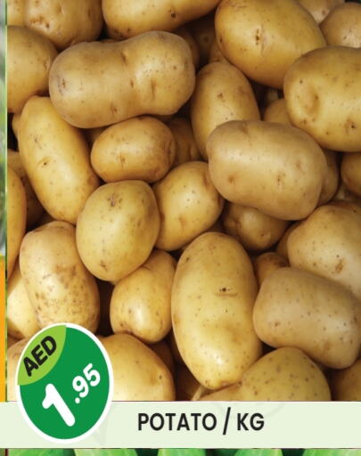 Potato available at Baniyas Spike  in UAE - Umm al Quwain