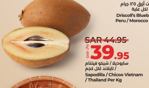 Blueberry BlueBerry Sapodilla from Morocco Vietnam Thailand available at لولو هايبرماركت in مملكة العربية السعودية, السعودية, سعودية - ينبع