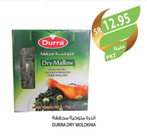 DURRA available at Farm  in KSA, Saudi Arabia, Saudi - Dammam