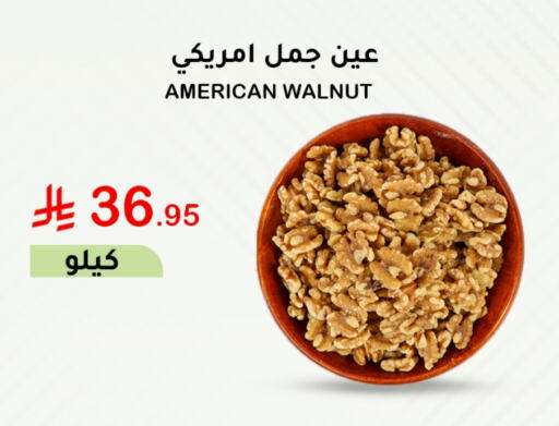 available at الهاجري الأغذية in مملكة العربية السعودية, السعودية, سعودية - خميس مشيط