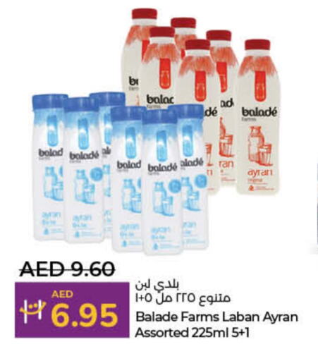 لبن available at لولو هايبرماركت in الإمارات العربية المتحدة , الامارات - أبو ظبي