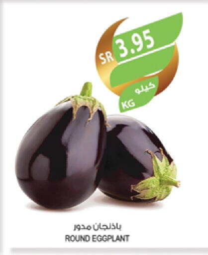 Eggplant available at Farm  in KSA, Saudi Arabia, Saudi - Al Hasa