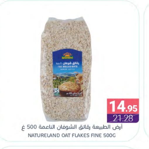 Oats available at Muntazah Markets in KSA, Saudi Arabia, Saudi - Saihat