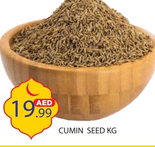 Cumin available at سنابل بني ياس in الإمارات العربية المتحدة , الامارات - أم القيوين‎