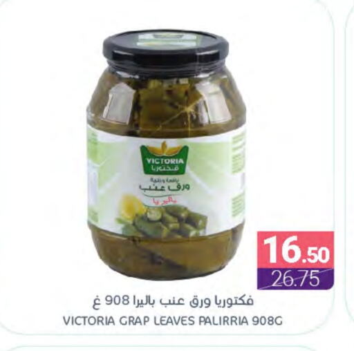 available at Muntazah Markets in KSA, Saudi Arabia, Saudi - Qatif