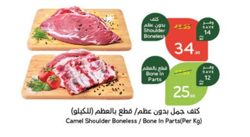 Camel meat available at Hyper Panda in KSA, Saudi Arabia, Saudi - Mecca