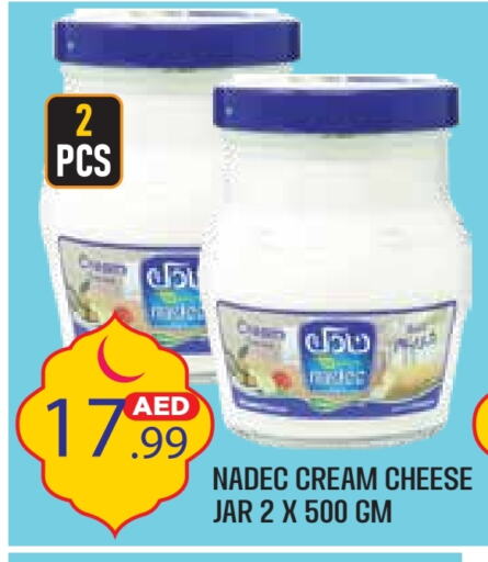 NADEC Cream Cheese available at Baniyas Spike  in UAE - Abu Dhabi