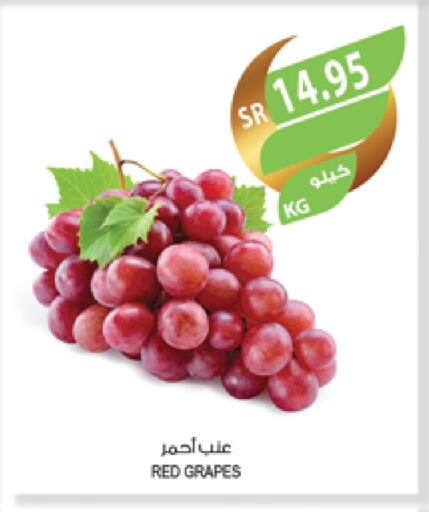 Grapes available at Farm  in KSA, Saudi Arabia, Saudi - Jubail