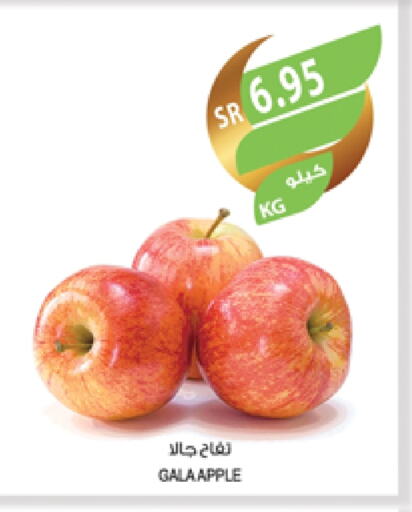 Apples available at Farm  in KSA, Saudi Arabia, Saudi - Jubail