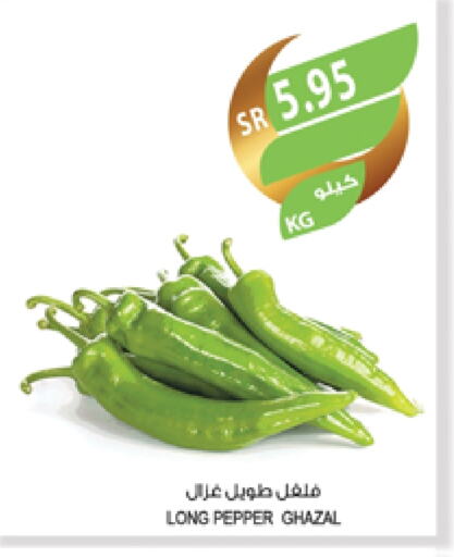 Chilli / Capsicum available at Farm  in KSA, Saudi Arabia, Saudi - Al Hasa