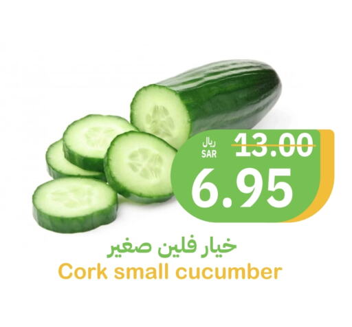 خيار available at أسواق قاطبة in مملكة العربية السعودية, السعودية, سعودية - بريدة