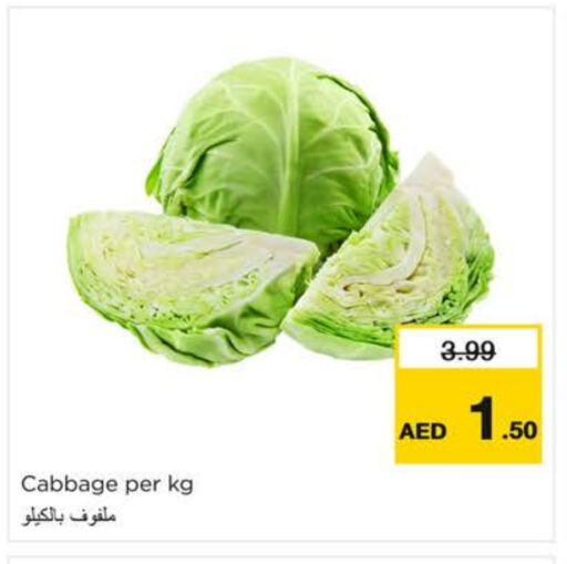 Cabbage available at Nesto Hypermarket in UAE - Fujairah