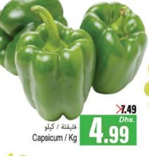 Chilli / Capsicum available at PASONS GROUP in UAE - Fujairah