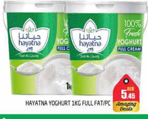 HAYATNA Yoghurt available at PASONS GROUP in UAE - Dubai