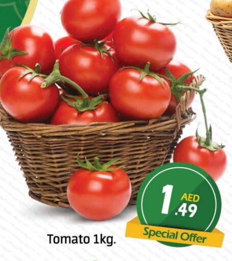 Tomato available at Azhar Al Madina Hypermarket in UAE - Dubai