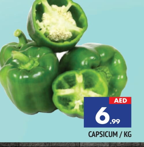 Chilli / Capsicum available at AL MADINA in UAE - Sharjah / Ajman