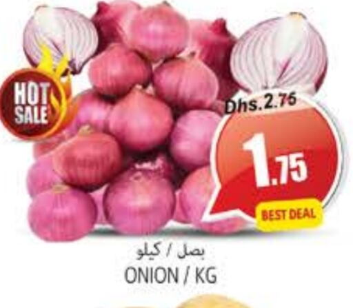 Onion available at PASONS GROUP in UAE - Fujairah