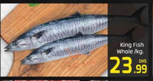 King Fish available at Mango Hypermarket LLC in UAE - Dubai