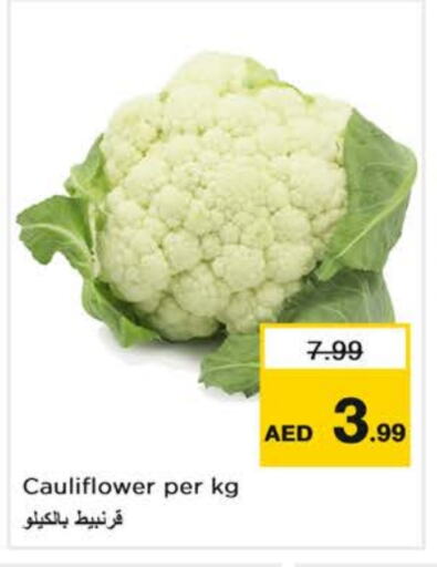 Cauliflower available at Last Chance  in UAE - Fujairah