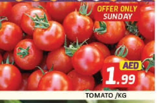 Tomato available at Al Madina  in UAE - Dubai