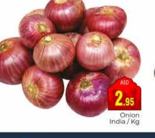 Onion from India available at PASONS GROUP in UAE - Dubai