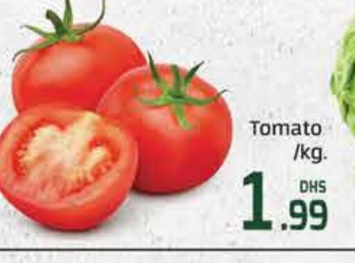 Tomato available at Mango Hypermarket LLC in UAE - Dubai