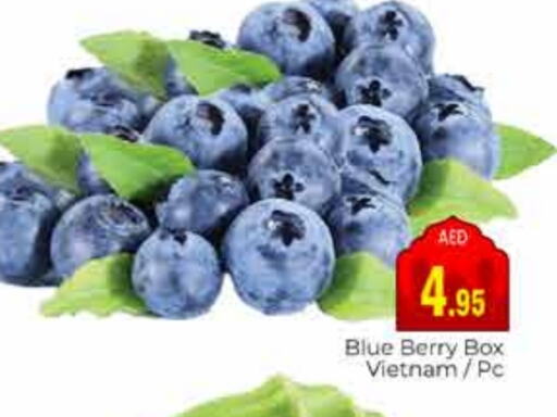 from Vietnam available at مجموعة باسونس in الإمارات العربية المتحدة , الامارات - دبي