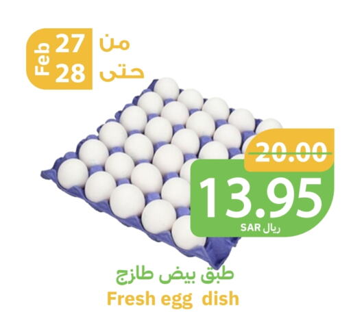 available at Qateba Markets in KSA, Saudi Arabia, Saudi - Buraidah