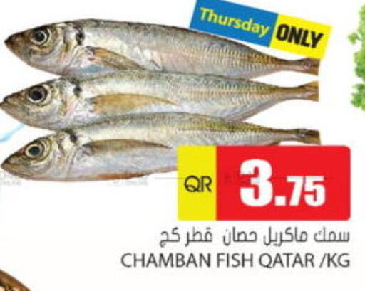 available at Grand Hypermarket in Qatar - Al Wakra