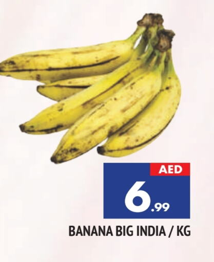 موز from India available at المدينة in الإمارات العربية المتحدة , الامارات - الشارقة / عجمان