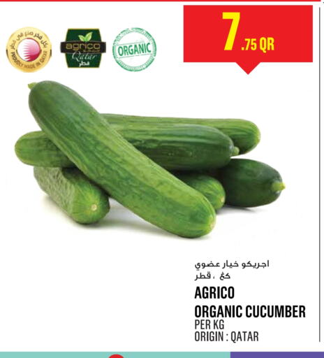 Cucumber from Qatar available at مونوبريكس in قطر - الخور