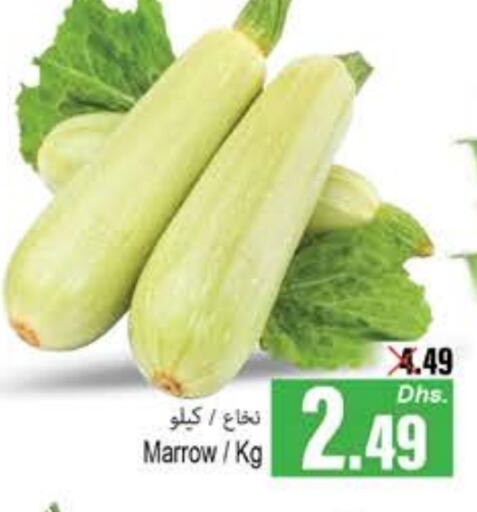 Marrow available at PASONS GROUP in UAE - Fujairah