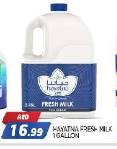 HAYATNA Fresh Milk available at AL MADINA in UAE - Sharjah / Ajman