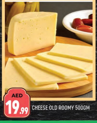 Roumy Cheese available at AL MADINA (Dubai) in UAE - Dubai