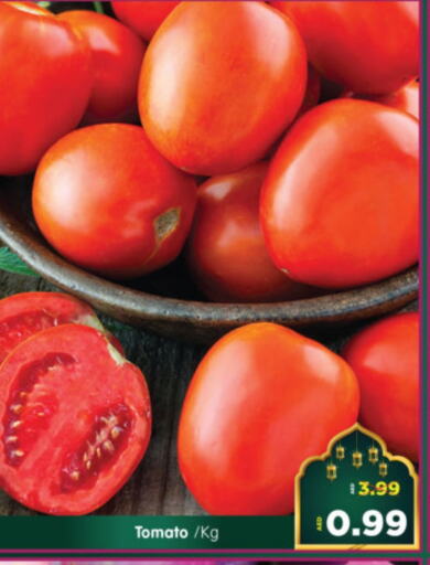 Tomato available at Al Madina Hypermarket in UAE - Abu Dhabi