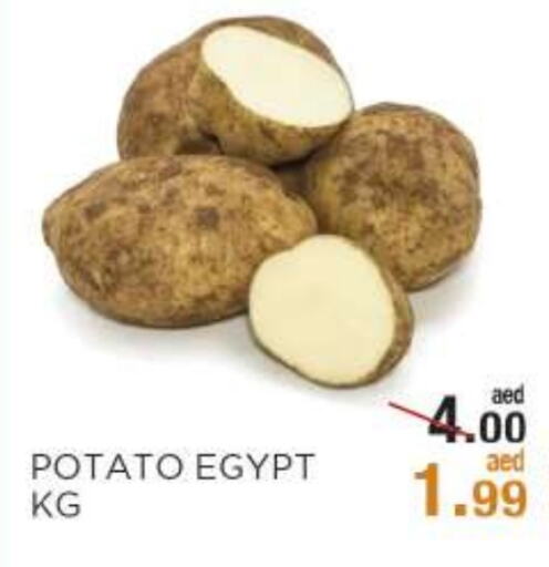 بطاطا from Egypt available at أوكى هايبرماركت in الإمارات العربية المتحدة , الامارات - أبو ظبي