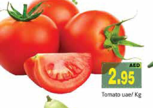 Tomato available at PASONS GROUP in UAE - Dubai