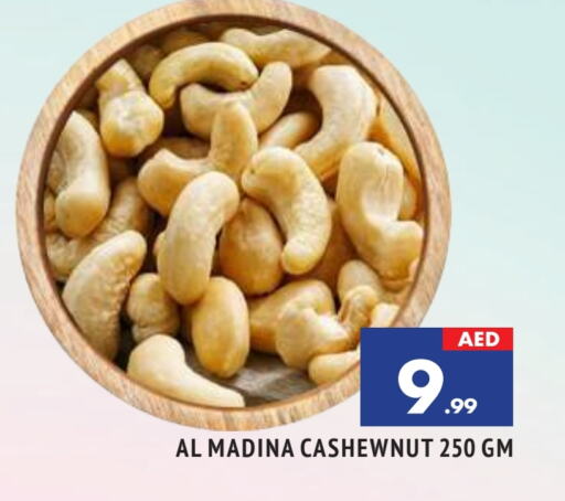 available at المدينة in الإمارات العربية المتحدة , الامارات - الشارقة / عجمان