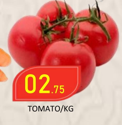 Tomato available at ROYAL GULF HYPERMARKET LLC in UAE - Abu Dhabi