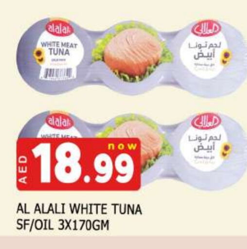 AL ALALI Tuna - Canned available at AL MADINA in UAE - Sharjah / Ajman