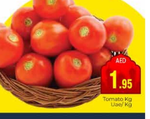 Tomato available at PASONS GROUP in UAE - Dubai