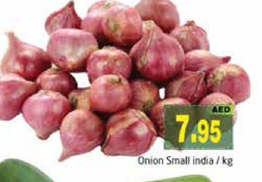 Onion from India available at PASONS GROUP in UAE - Dubai