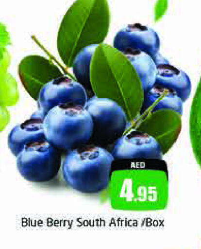 from South Africa available at مجموعة باسونس in الإمارات العربية المتحدة , الامارات - دبي