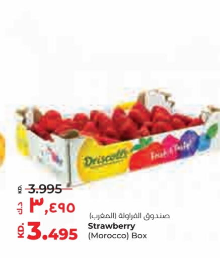 Berries from Morocco available at Lulu Hypermarket  in Kuwait - Kuwait City