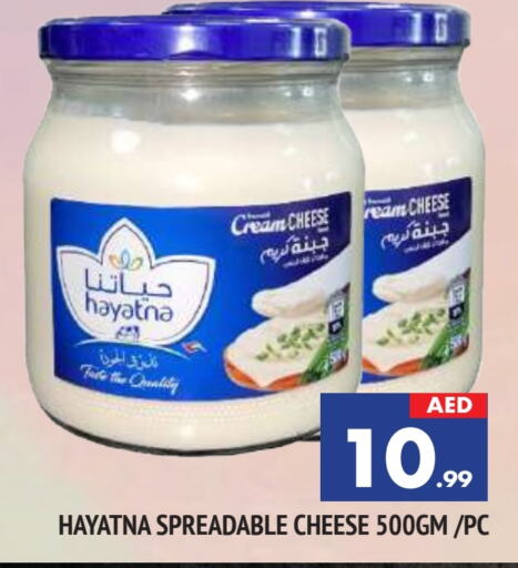 HAYATNA Cream Cheese available at AL MADINA in UAE - Sharjah / Ajman