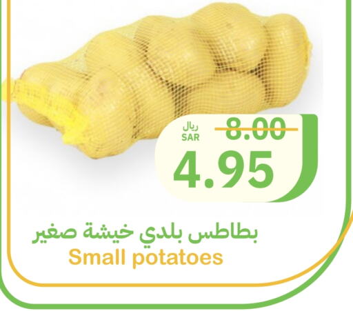 Potato available at Qateba Markets in KSA, Saudi Arabia, Saudi - Buraidah