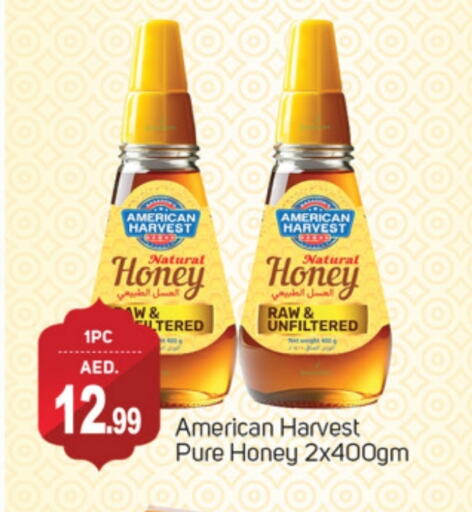 AMERICAN HARVEST Honey available at TALAL MARKET in UAE - Dubai